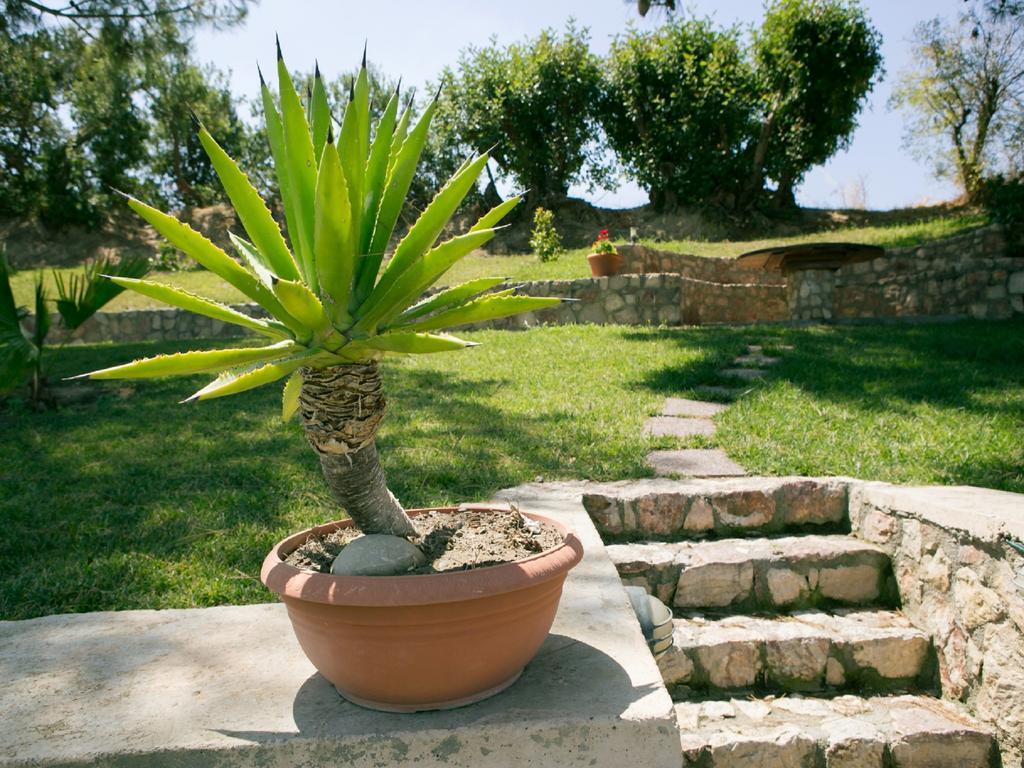 Villa Russelia Kalavarda Exterior photo